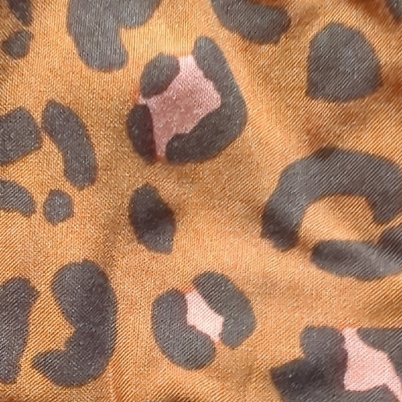 Leopard Print Dress - Picture 2 of 6